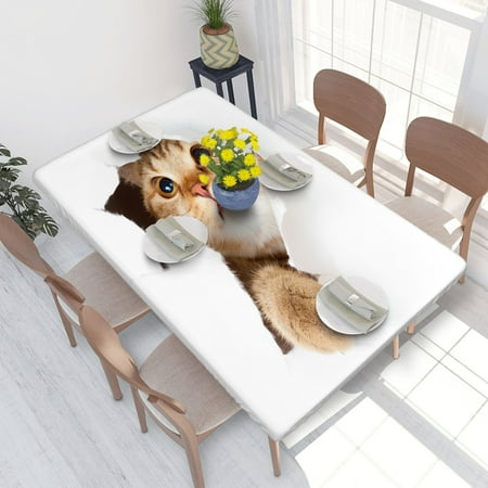 Elastic Edge Fitted Tablecloth Cat Paper for Rectangle Table 4 FT 30 X 48 Inch
Elastic Edge Fitted Tablecloth Cat Paper for Rectangle Table 4 FT 30 X 48 Inch