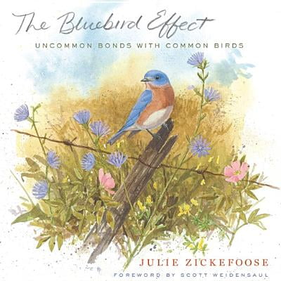 The Bluebird Effect - eBook