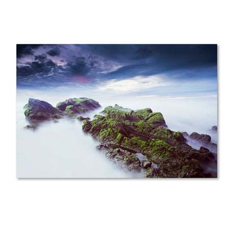 Trademark Fine Art 'Green Loneliness' Canvas Art by Nuno Araujo