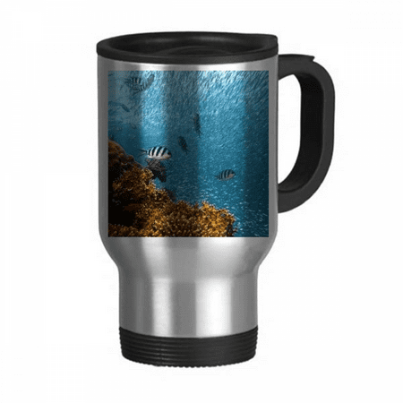 Ocean Fish Science Nature Picture Travel Mug Flip Lid Stainless Steel Cup Car Tumbler Thermos
Ocean Fish Science Nature Picture Travel Mug Flip Lid Stainless Steel Cup Car Tumbler Thermos