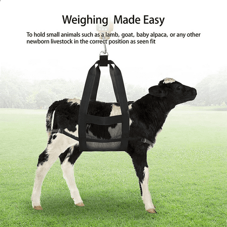 4X Calf Sling for Weighing Small Animals Livestock Sling Scale Calf Scale Hanging Weight Scale Sling for Weighing
4X Calf Sling for Weighing Small Animals Livestock Sling Scale Calf Scale Hanging Weight Scale Sling for Weighing