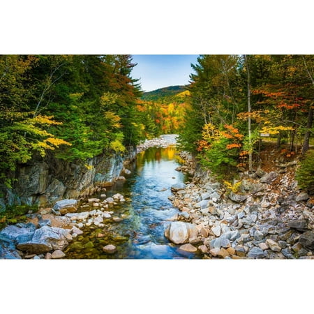 NOIR Gallery Fall Color at Rocky Gorge White Mountains New Hampshire on Canvas