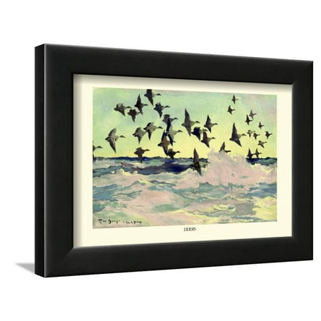 Eiders Framed Print Wall Art By Frank Weston Benson