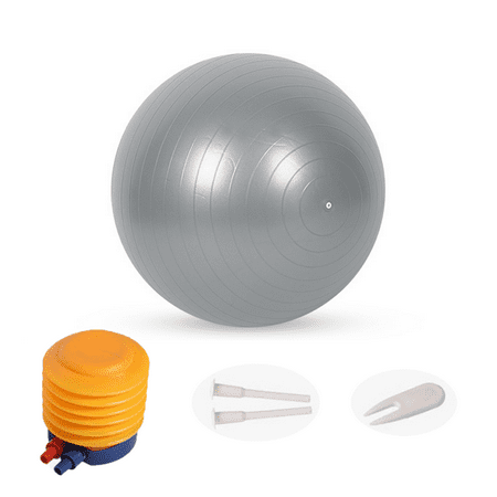 PilatesExerciseBallYogaBarreSmallBenderWorkoutFitnessBalancePhysicalTherapySquishyBalls ImprovesStabilityCoreTrainingEquipmentforHome
PilatesExerciseBallYogaBarreSmallBenderWorkoutFitnessBalancePhysicalTherapySquishyBalls ImprovesStabilityCoreTrainingEquipmentforHome