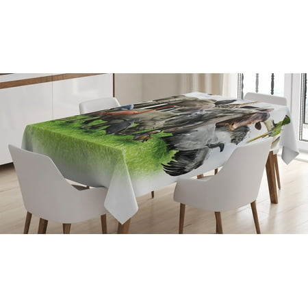 Wildlife Decor Tablecloth Digital Collage of Wild Animals with African Safari Animals Zoo Print Artwork Rectangular Table Cover for Dining Room Kitchen 60 X 84 Inches Multi by Ambesonne
Wildlife Decor Tablecloth Digital Collage of Wild Animals with African Safari Animals Zoo Print Artwork Rectangular Table Cover for Dining Room Kitchen 60 X 84 Inches Multi by Ambesonne