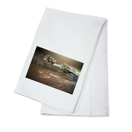 Frog and Crocodile (100% Cotton Tea Towel Decorative Hand Towel Kitchen and Home)