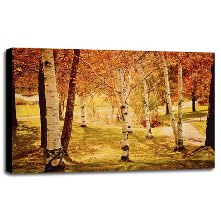 DSC_1132-CELKEL122975 Print 9.5"x14.25" by Celia Kelly in a Canvas Stretched in Black Frame
