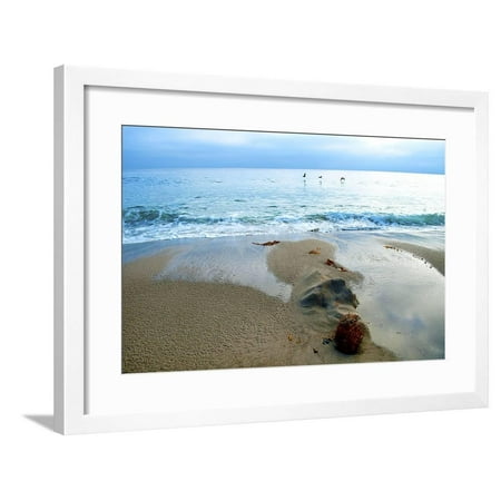 Zuma Beach, Ca Framed Print Wall Art By Lori Hutchison