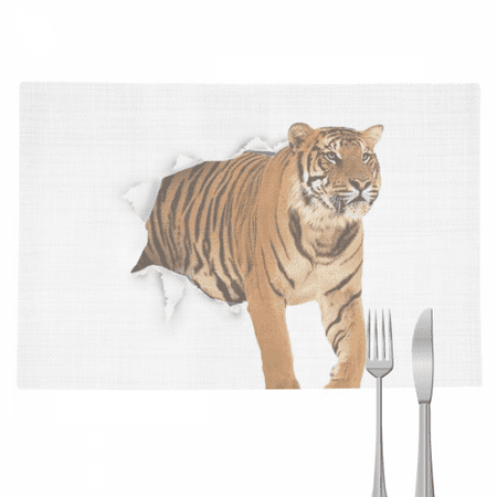 Damage Animal Paper Tigers Cats Placemat Pad Kitchen Woven Heat Resistant Cushion Rectangle
Damage Animal Paper Tigers Cats Placemat Pad Kitchen Woven Heat Resistant Cushion Rectangle