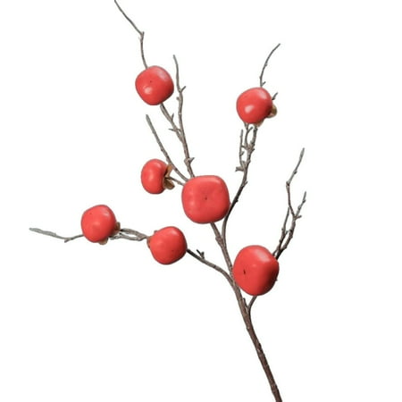 DAMIFU 1Pcs Fake Flowers Simulation Persimmon Pomegranate Autumn Fruit Branch Decor Red Persimmon
DAMIFU 1Pcs Fake Flowers Simulation Persimmon Pomegranate Autumn Fruit Branch Decor Red Persimmon
