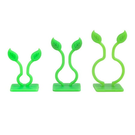 100 pieces of plant climbing wall fixtures self-adhesive hooks for garden plant fixtures vegetable plant support fixtures plant vine traction invisible wall vine fixtures decorative vine brackets
100 pieces of plant climbing wall fixtures self-adhesive hooks for garden plant fixtures vegetable plant support fixtures plant vine traction invisible wall vine fixtures decorative vine brackets