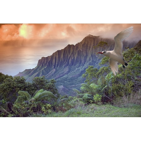 Hawaii Kauai Na Pali Coast Kalalau Valley And Kaaalahina Ridge View From Kokee State Park Lookout With Bird Flying Through Foreground Canvas Art - Dave Fleetham Design Pics (17 x 11)