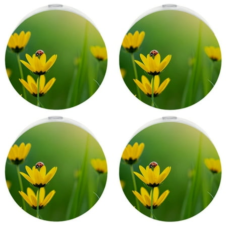 YZUOUZY Night Light Small Lamp 4-PC Spring Floral Yellow Flowers
YZUOUZY Night Light Small Lamp 4-PC Spring Floral Yellow Flowers