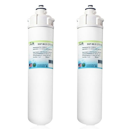 Swift Green Filters SGF-96-31 CTO-S-B Compatible Commercial Water Filter for EV9693-31 9655-11 9693-21 Made in USA (Pack of 2)
Swift Green Filters SGF-96-31 CTO-S-B Compatible Commercial Water Filter for EV9693-31 9655-11 9693-21 Made in USA (Pack of 2)