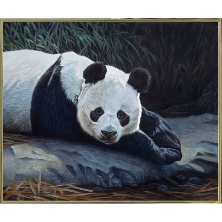 Panda-RUSFRE97 Print 17"x20.5" by Rusty Frentner in a Gold Metal Frame