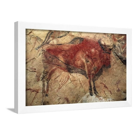 Bison, from the Caves at Altamira Framed Print Wall Art