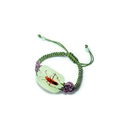 Ed Speldy East YL04 Real Bug Bracelet-Scarlet Plant Bug