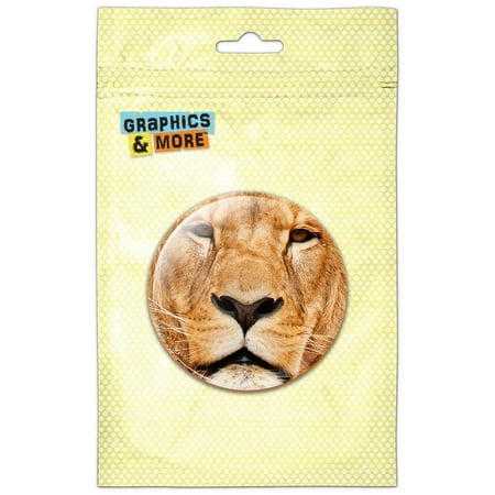 Portrait of a Male Lion Refrigerator Button Magnet