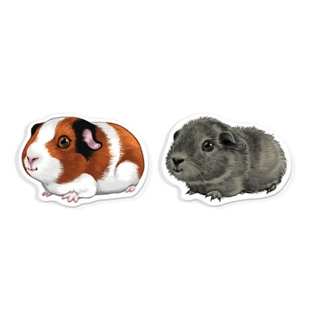 WIRESTER 2pcs Set Acrylic Fridge Refrigerator Magnet for Home Office Classroom Acrylic Magnets to Stick on Computer Fridge Dryer Lockers - American Rex Guinea Pigs
WIRESTER 2pcs Set Acrylic Fridge Refrigerator Magnet for Home Office Classroom Acrylic Magnets to Stick on Computer Fridge Dryer Lockers - American Rex Guinea Pigs