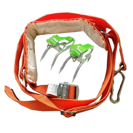 tree climbing Pole Climbing Spikes Non- Tree Climbing Spurs Tree Climbing Tool Kit for Hunting Observation Picking Fruit Coconut
tree climbing Pole Climbing Spikes Non- Tree Climbing Spurs Tree Climbing Tool Kit for Hunting Observation Picking Fruit Coconut