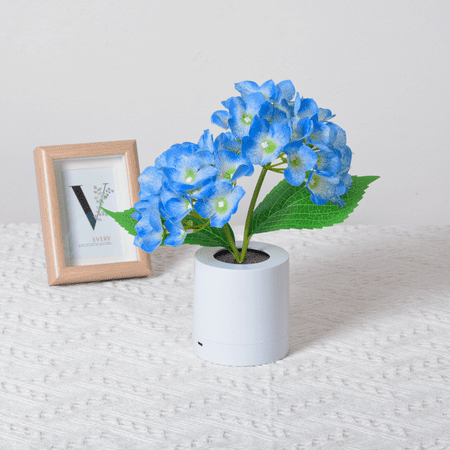 Cafe Table lamp Tulip Lamp Garden Llights Simulation Tulip Night Light for Living Room Bedroom Fake Flower for Bedroom Wedding Party(Blue)
Cafe Table lamp Tulip Lamp Garden Llights Simulation Tulip Night Light for Living Room Bedroom Fake Flower for Bedroom Wedding Party(Blue)