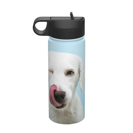 Uemuo Puppy Licks Nose Print 18oz Sports Insulated Kettle Water Bottle Outdoor Sports Bottle Insulated Hydration Bottle with Handle & Flip Straw
Uemuo Puppy Licks Nose Print 18oz Sports Insulated Kettle Water Bottle Outdoor Sports Bottle Insulated Hydration Bottle with Handle & Flip Straw