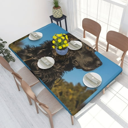 Home Deluxe Tablecloth Dog (2) Waterproof Elastic Rim Edged Table Cover- For Christmas Parties And Picnics 4ft
Home Deluxe Tablecloth Dog (2) Waterproof Elastic Rim Edged Table Cover- For Christmas Parties And Picnics 4ft