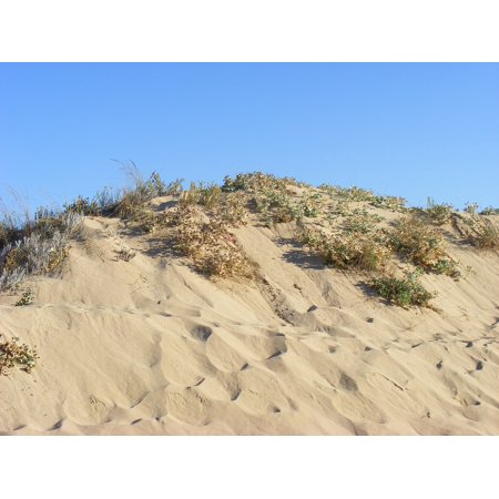 canvas print dune beach cadiz stretched canvas 10 x 14