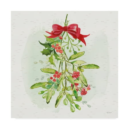 Trademark Fine Art 'Winter Blooms IV' Canvas Art by Sue Schlabach