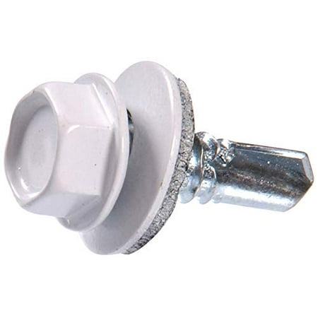 The Hillman Group 48049 14 X 7/8-Inch White Painted Head Lap Stitch Screw 1-Pound
The Hillman Group 48049 14 X 7/8-Inch White Painted Head Lap Stitch Screw 1-Pound