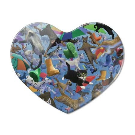 Raining Cats and Dogs Heart Acrylic Fridge Refrigerator Magnet