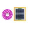 EDFRWWS Solar LED Plant Grow Light Strip Full Spectrum 5V Phytolamp for Flower (2m)
EDFRWWS Solar LED Plant Grow Light Strip Full Spectrum 5V Phytolamp for Flower (2m)