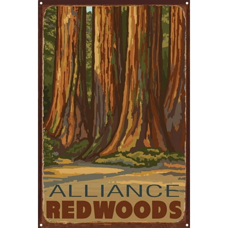 Alliance Redwoods The Senate California Rustic Metal Art Print by Paul A. Lanquist (12" x 18")