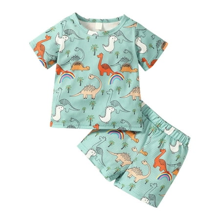 Little Boys Party Dailywear Sets Cartoon Dinosaur Printed O-Neck Short Sleeve Tops Shorts Child Outfits Cozy Leisure Comfy Streetwear Outfits
Little Boys Party Dailywear Sets Cartoon Dinosaur Printed O-Neck Short Sleeve Tops Shorts Child Outfits Cozy Leisure Comfy Streetwear Outfits