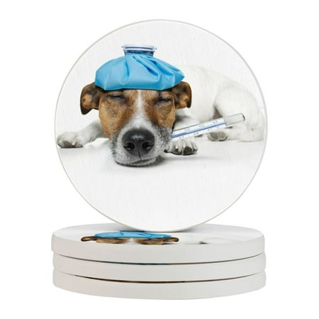 Circular Drink Coasters Set Animals Dogs Funny Humor Jack Beautiful Home Decor Diatomite Heat-Resistant Diatomite Protect Table Countertop
Circular Drink Coasters Set Animals Dogs Funny Humor Jack Beautiful Home Decor Diatomite Heat-Resistant Diatomite Protect Table Countertop