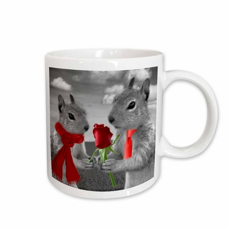 3dRose Squirrel Couple in Love with Red Rose Black and White Photograph Ceramic Mug 15-ounce
3dRose Squirrel Couple in Love with Red Rose Black and White Photograph Ceramic Mug 15-ounce
