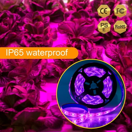 Poseidon USB Plant Grow Light High Light Transmittance Promote Photosynthesis Long Service Life Pink Purple Strip Lights for Greenhouse
Poseidon USB Plant Grow Light High Light Transmittance Promote Photosynthesis Long Service Life Pink Purple Strip Lights for Greenhouse