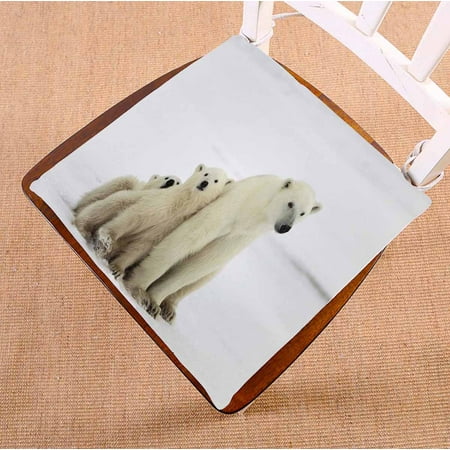 PKQWTM Polar She Bear With Two Small Bear Cubs Chair Pads Chair Mat Seat Cushion Chair Cushion Floor Cushion Size 16x16 inches
PKQWTM Polar She Bear With Two Small Bear Cubs Chair Pads Chair Mat Seat Cushion Chair Cushion Floor Cushion Size 16x16 inches