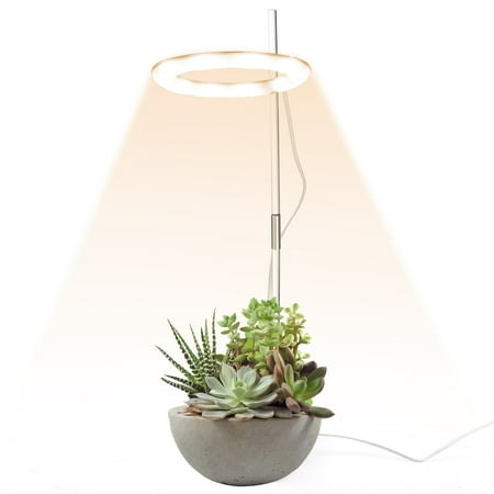 Asdomo Indoor Lights For Flowers Led Plants Growth Lighting Durable Succulents Usb Phytolamp Garden Lamp
Asdomo Indoor Lights For Flowers Led Plants Growth Lighting Durable Succulents Usb Phytolamp Garden Lamp