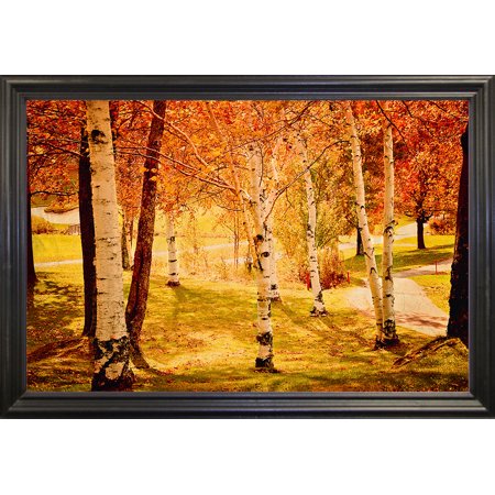 DSC_1132-CELKEL122975 Print 9.5"x14.25" by Celia Kelly in a Black Grande