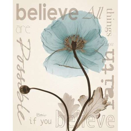 Believe Poppy Poster Print by Albert Koetsier