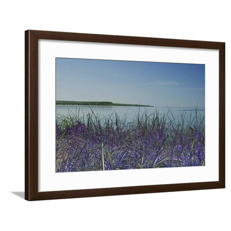 DSC0271 Framed Print Wall Art By Tom Kelly