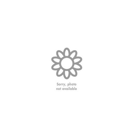 Spring Has Sprung Perennial Collection II