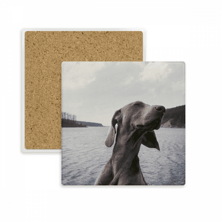 Dog Pet Animal Gray Picture Square Coaster Cup Mat Mug Subplate Holder Insulation Stone
Dog Pet Animal Gray Picture Square Coaster Cup Mat Mug Subplate Holder Insulation Stone