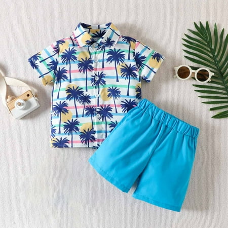 Lilgiuy Little Boys Hawaiian Clothes Summer Print Short Sleeve Button Down Loose Tops Shorts Set for Fishing Swimming
Lilgiuy Little Boys Hawaiian Clothes Summer Print Short Sleeve Button Down Loose Tops Shorts Set for Fishing Swimming