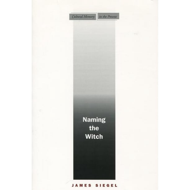 Cultural Memory in the Present: Naming the Witch (Paperback)