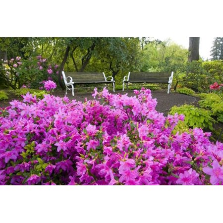 Benches Set Amid Rhododendrons Print Wall Art By Craig Tuttle