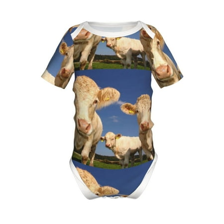 Gaeub Cows Cattles Print Infant Climbing Onesie Toddler Outfit Newborn Baby Bodysuit Baby Boy Girl Clothes -12 Months
Gaeub Cows Cattles Print Infant Climbing Onesie Toddler Outfit Newborn Baby Bodysuit Baby Boy Girl Clothes -12 Months