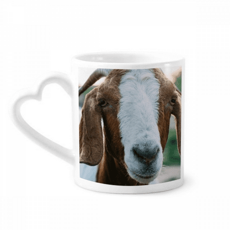m Sheep Animal Photography Mug Coffee Cerac Drinkware Glass Heart Cup