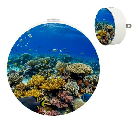 YZUOUZY Night Light LED Lamp Bedside Lamps Set of 2 Underwater World Corals Tropical Fish
YZUOUZY Night Light LED Lamp Bedside Lamps Set of 2 Underwater World Corals Tropical Fish